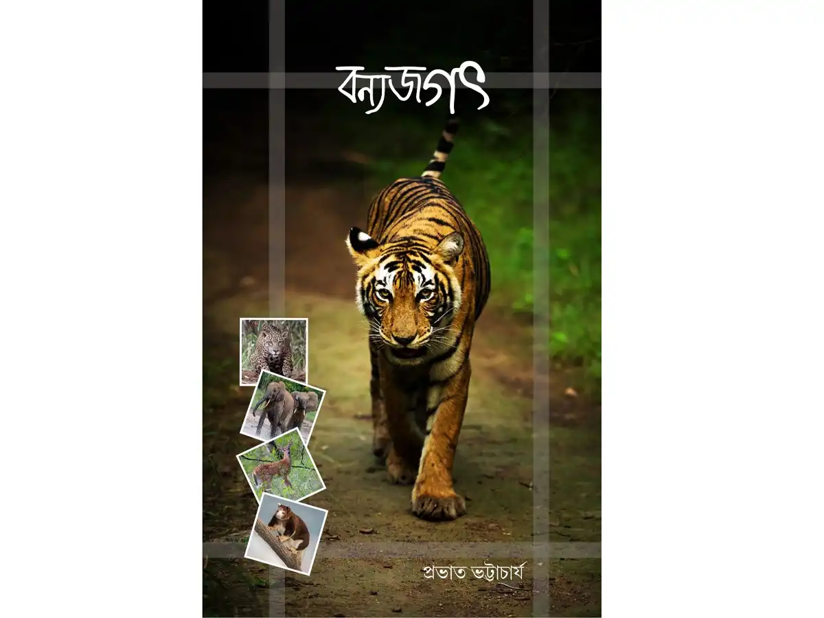 Bonno Jagat